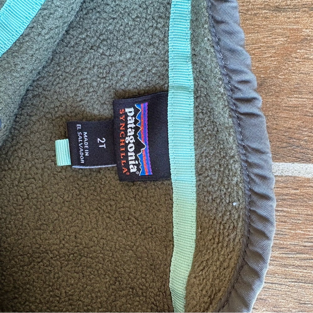 Patagonia Kids' Green Fleece Pants